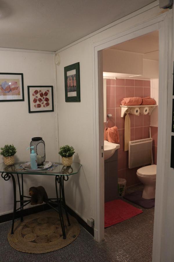 Chez Delphine Bed & Breakfast Amboise Bagian luar foto
